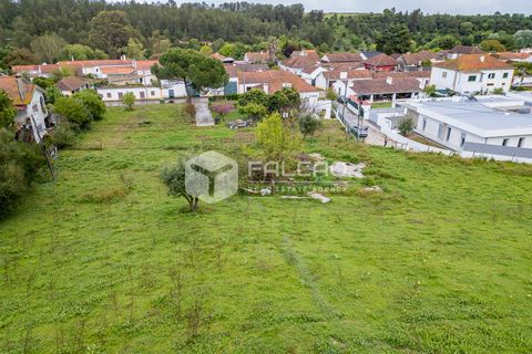 Terra a Santarem, Santarem, Santarem - € 50.000 | Ref: FR679 - foto 23
