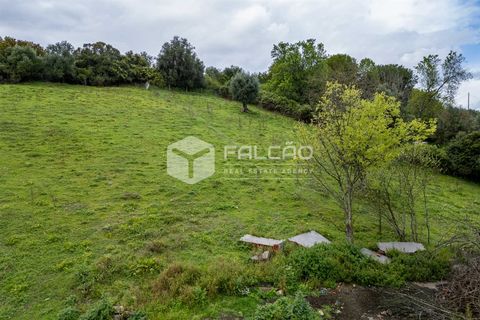 Terra a Santarem, Santarem, Santarem - € 50.000 | Ref: FR679 - foto 24