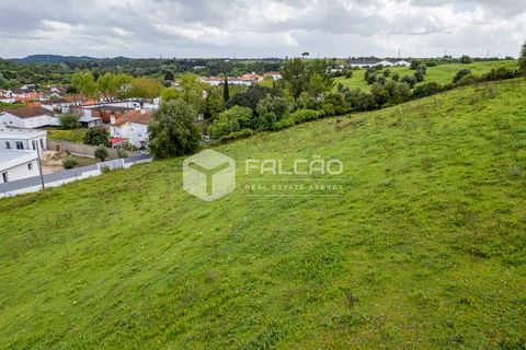 Terra a Santarem, Santarem, Santarem - € 50.000 | Ref: FR679 - foto 25