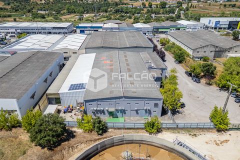 Villa i Santarem, Santarem, Santarem - € 1.199.000 | Ref: FR803 - foto 7