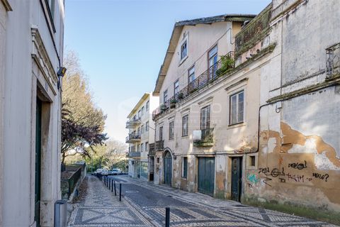 Villa i Santarem, Santarem, Santarem - € 350.000 | Ref: FR106 - foto 4