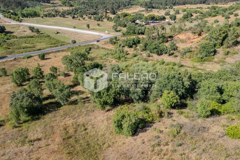 Grond in Santarem, Santarem, Santarem - € 1.000.000 | Ref: FR766 - foto 5