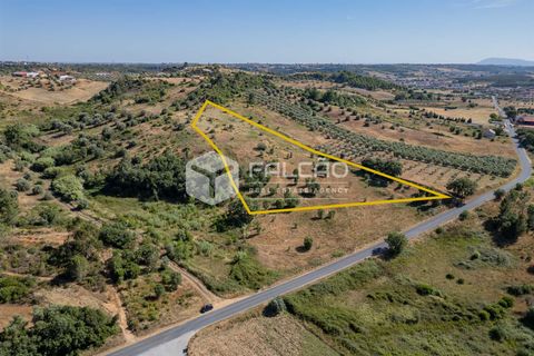 Grond in Santarem, Santarem, Santarem - € 1.000.000 | Ref: FR766 - foto 1