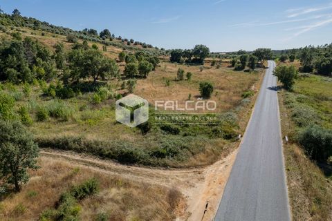 Grond in Santarem, Santarem, Santarem - € 1.000.000 | Ref: FR766 - foto 2