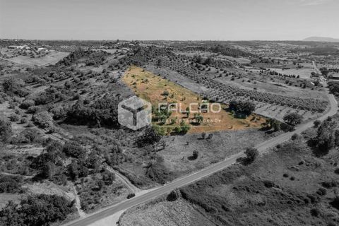 Grond in Santarem, Santarem, Santarem - € 1.000.000 | Ref: FR766 - foto 3