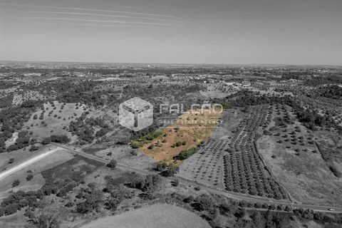 Grond in Santarem, Santarem, Santarem - € 1.000.000 | Ref: FR766 - foto 4