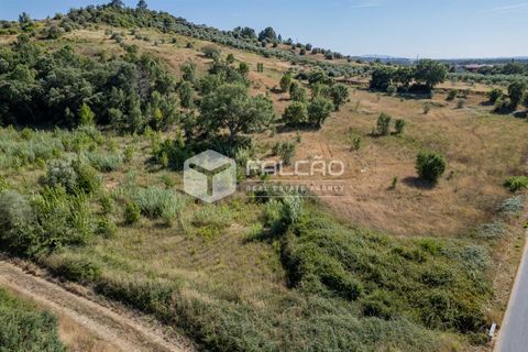 Grond in Santarem, Santarem, Santarem - € 1.000.000 | Ref: FR766 - foto 6
