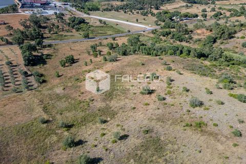 Grond in Santarem, Santarem, Santarem - € 1.000.000 | Ref: FR766 - foto 7