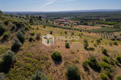 Grond in Santarem, Santarem, Santarem - € 1.000.000 | Ref: FR766 - foto 8
