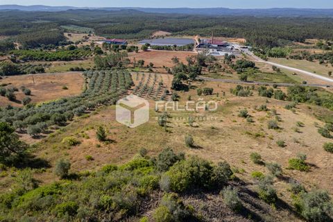 Grond in Santarem, Santarem, Santarem - € 1.000.000 | Ref: FR766 - foto 9