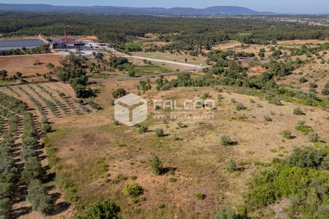 Grond in Santarem, Santarem, Santarem - € 1.000.000 | Ref: FR766 - foto 10
