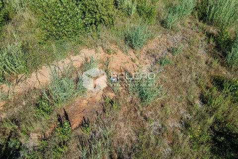 Grond in Santarem, Santarem, Santarem - € 1.000.000 | Ref: FR766 - foto 11