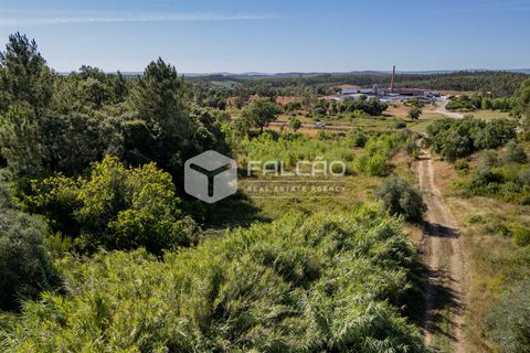 Grond in Santarem, Santarem, Santarem - € 1.000.000 | Ref: FR766 - foto 12