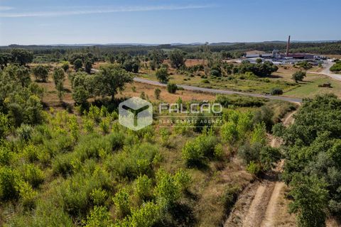 Grond in Santarem, Santarem, Santarem - € 1.000.000 | Ref: FR766 - foto 13