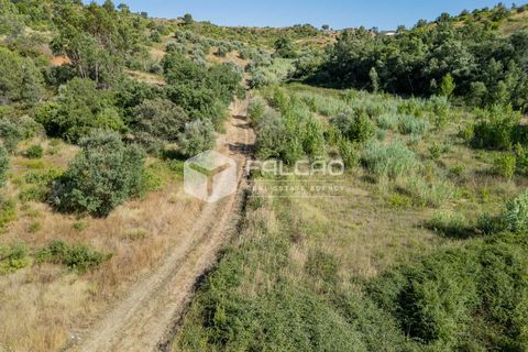 Grond in Santarem, Santarem, Santarem - € 1.000.000 | Ref: FR766 - foto 14
