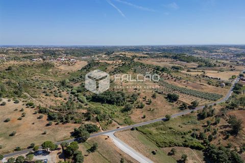Grond in Santarem, Santarem, Santarem - € 1.000.000 | Ref: FR766 - foto 15