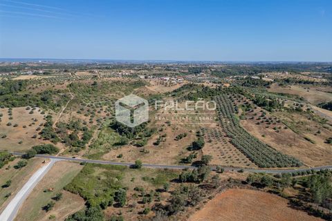Grond in Santarem, Santarem, Santarem - € 1.000.000 | Ref: FR766 - foto 16