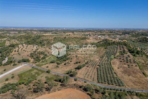 Grond in Santarem, Santarem, Santarem - € 1.000.000 | Ref: FR766 - foto 17