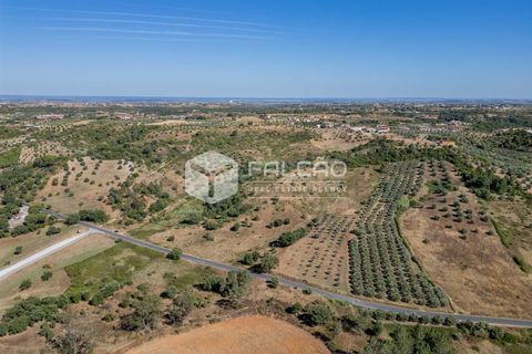 Grond in Santarem, Santarem, Santarem - € 1.000.000 | Ref: FR766 - foto 18