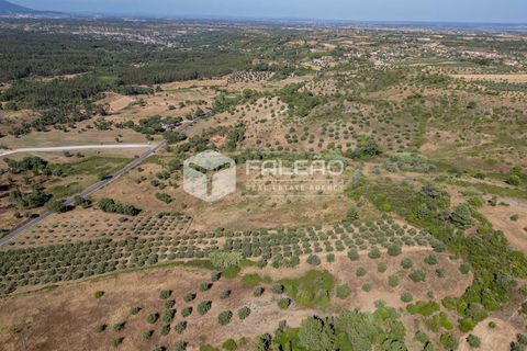 Grond in Santarem, Santarem, Santarem - € 1.000.000 | Ref: FR766 - foto 19