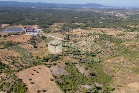 Grond in Santarem, Santarem, Santarem - € 1.000.000 | Ref: FR766 - foto 20