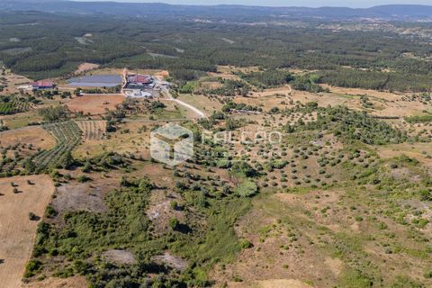 Grond in Santarem, Santarem, Santarem - € 1.000.000 | Ref: FR766 - foto 21