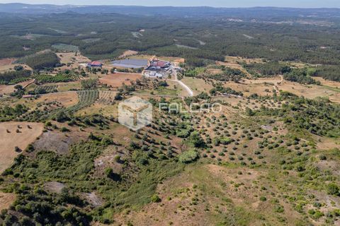 Grond in Santarem, Santarem, Santarem - € 1.000.000 | Ref: FR766 - foto 22