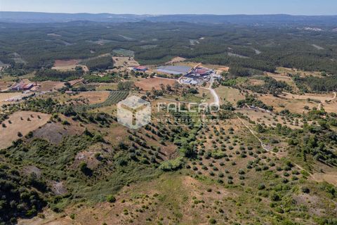 Grond in Santarem, Santarem, Santarem - € 1.000.000 | Ref: FR766 - foto 23