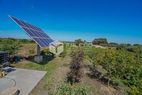 Villa i Cartaxo, Santarem, Cartaxo - € 1.460.000 | Ref: FR378 - foto 16