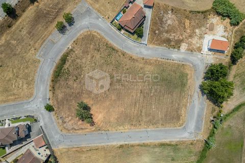 Helårsgrund i Santarem, Santarem, Santarem - € 32.500 | Ref: FR784 - foto 4