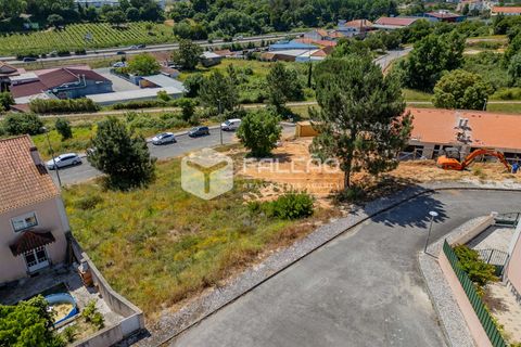 Grond in Santarem, Santarem, Santarem - € 55.000 | Ref: FR711 - foto 13