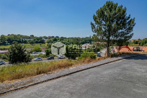 Grond in Santarem, Santarem, Santarem - € 55.000 | Ref: FR711 - foto 19