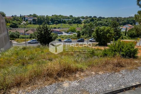 Grond in Santarem, Santarem, Santarem - € 55.000 | Ref: FR711 - foto 21