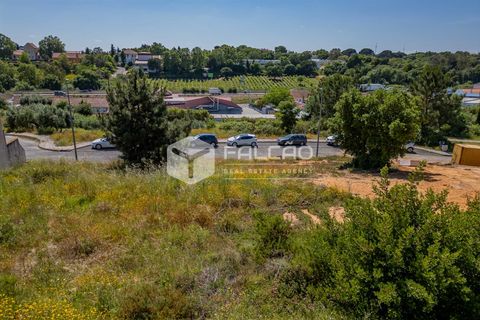 Grond in Santarem, Santarem, Santarem - € 55.000 | Ref: FR711 - foto 22