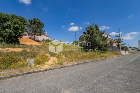 Grond in Santarem, Santarem, Santarem - € 55.000 | Ref: FR711 - foto 24