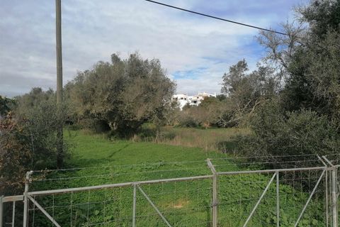 Terra a Silves, Faro, Silves - € 700.000 | Ref: FR114 - foto 5