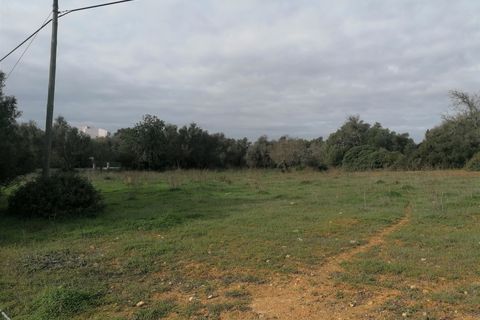 Terra a Silves, Faro, Silves - € 700.000 | Ref: FR114 - foto 9