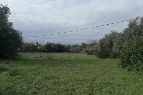 Terra a Silves, Faro, Silves - € 700.000 | Ref: FR114 - foto 10