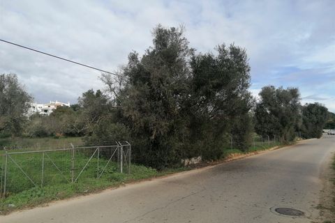 Terra a Silves, Faro, Silves - € 700.000 | Ref: FR114 - foto 12