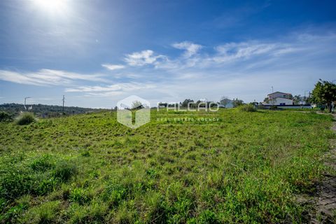 Terra a Cartaxo, Santarem, Cartaxo - € 30.000 | Ref: FR136 - foto 2
