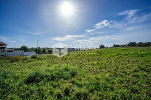 Terra a Cartaxo, Santarem, Cartaxo - € 30.000 | Ref: FR136 - foto 3