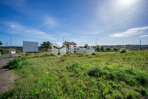 Terra a Cartaxo, Santarem, Cartaxo - € 30.000 | Ref: FR136 - foto 4