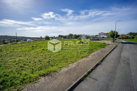 Terra a Cartaxo, Santarem, Cartaxo - € 30.000 | Ref: FR136 - foto 5