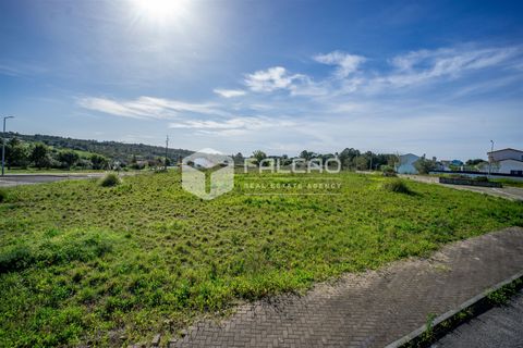 Terra a Cartaxo, Santarem, Cartaxo - € 30.000 | Ref: FR136 - foto 6