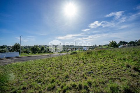 Terra a Cartaxo, Santarem, Cartaxo - € 30.000 | Ref: FR136 - foto 7