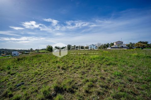 Terra a Cartaxo, Santarem, Cartaxo - € 30.000 | Ref: FR136 - foto 8