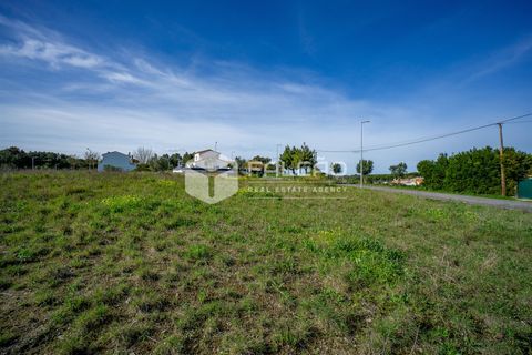 Terra a Cartaxo, Santarem, Cartaxo - € 30.000 | Ref: FR136 - foto 9