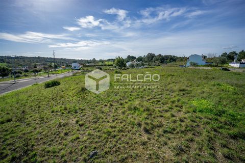 Terra a Cartaxo, Santarem, Cartaxo - € 30.000 | Ref: FR136 - foto 10