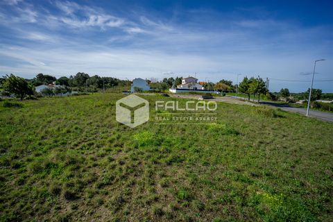 Terra a Cartaxo, Santarem, Cartaxo - € 30.000 | Ref: FR136 - foto 11