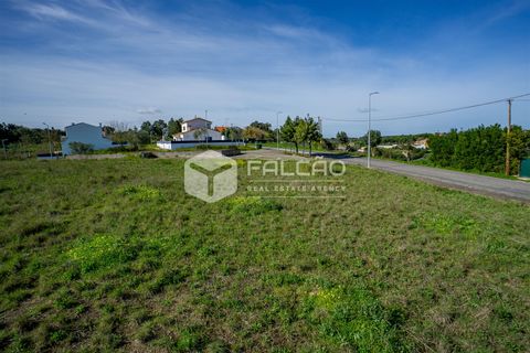 Terra a Cartaxo, Santarem, Cartaxo - € 30.000 | Ref: FR136 - foto 12